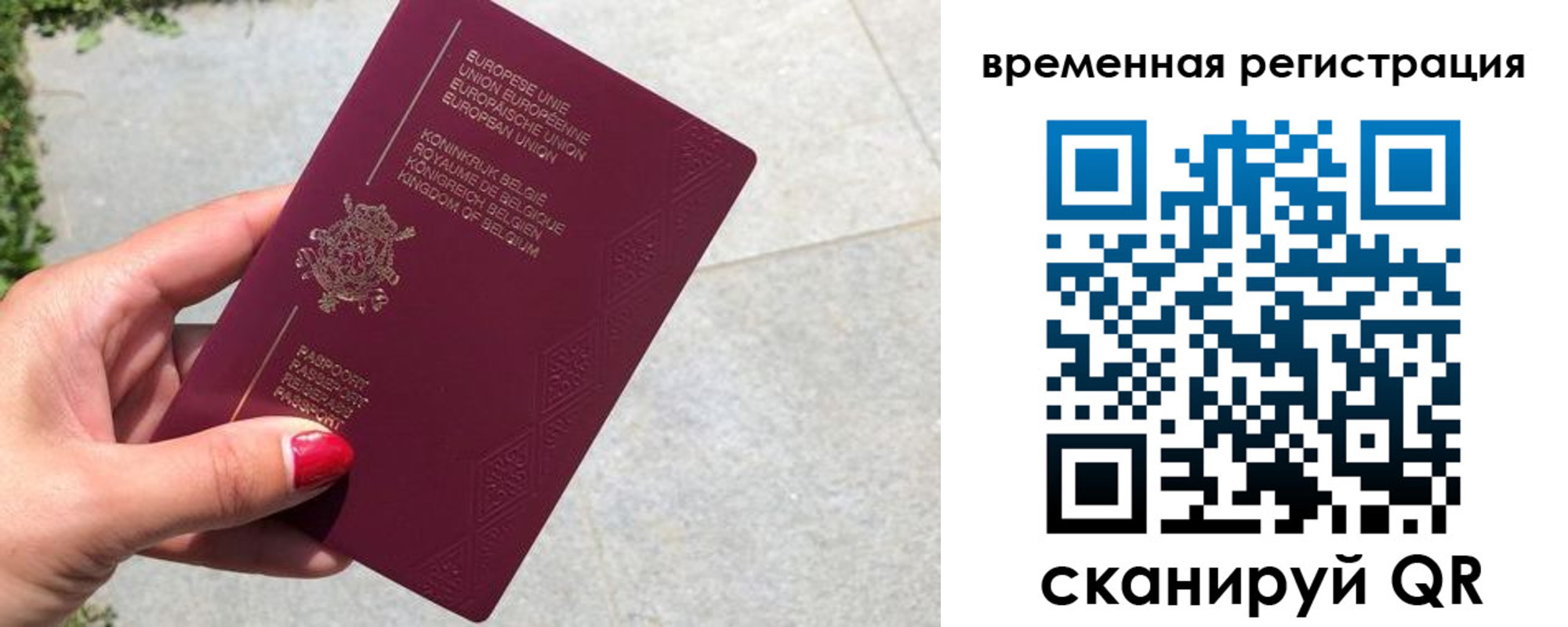 пропишу в квартире в Ставрополе